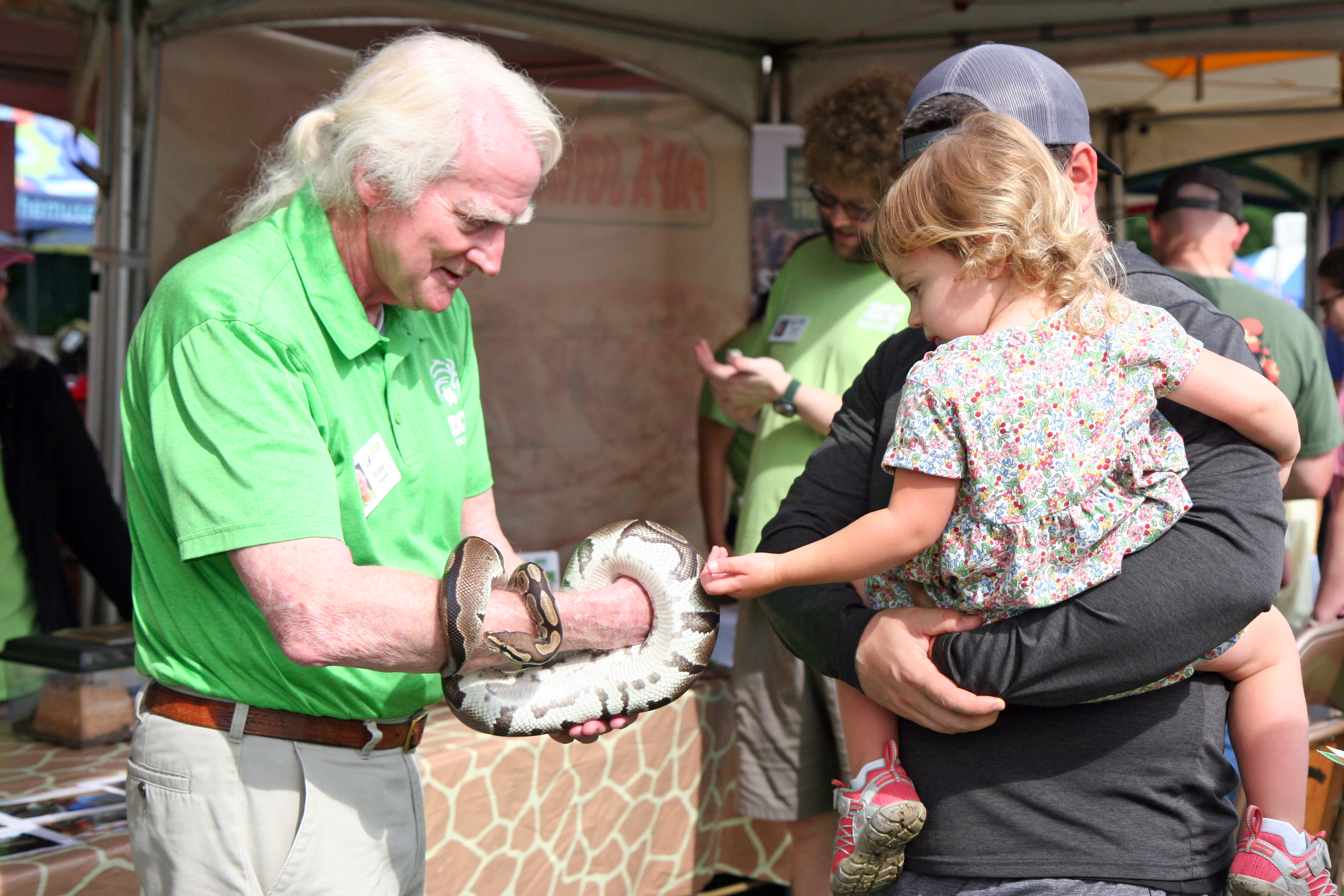 Zoo staff member holds a snake while a toddler gently touches it