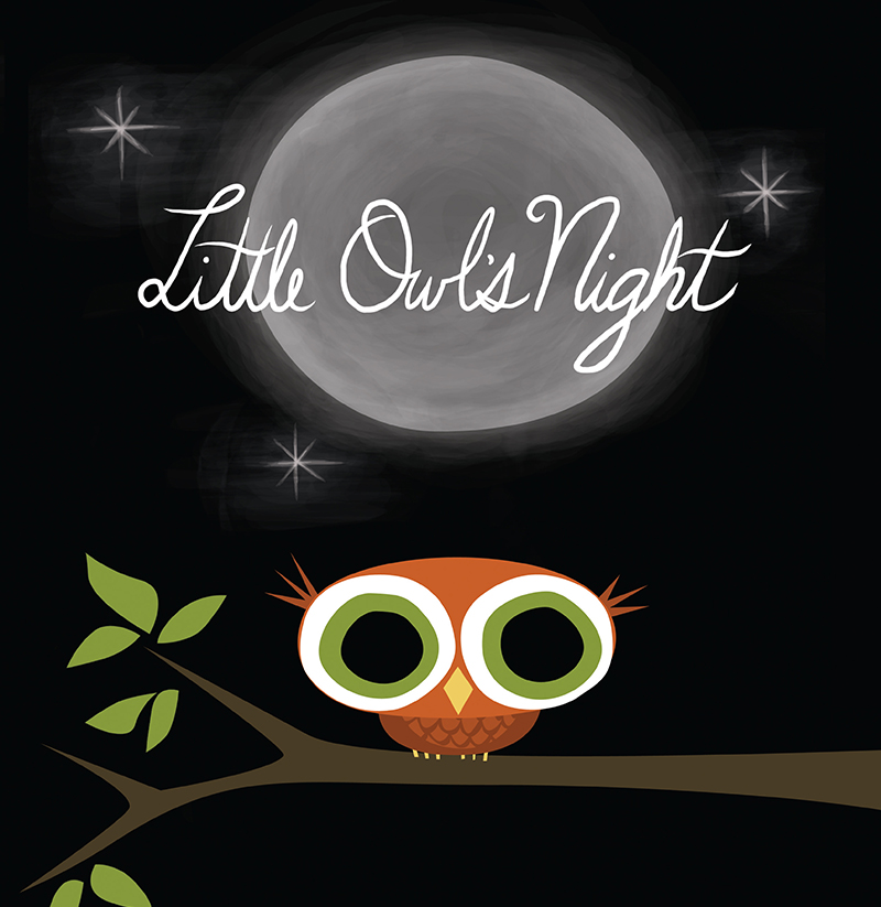 Cover of book Little Owl's Night by Divya Srinivasan