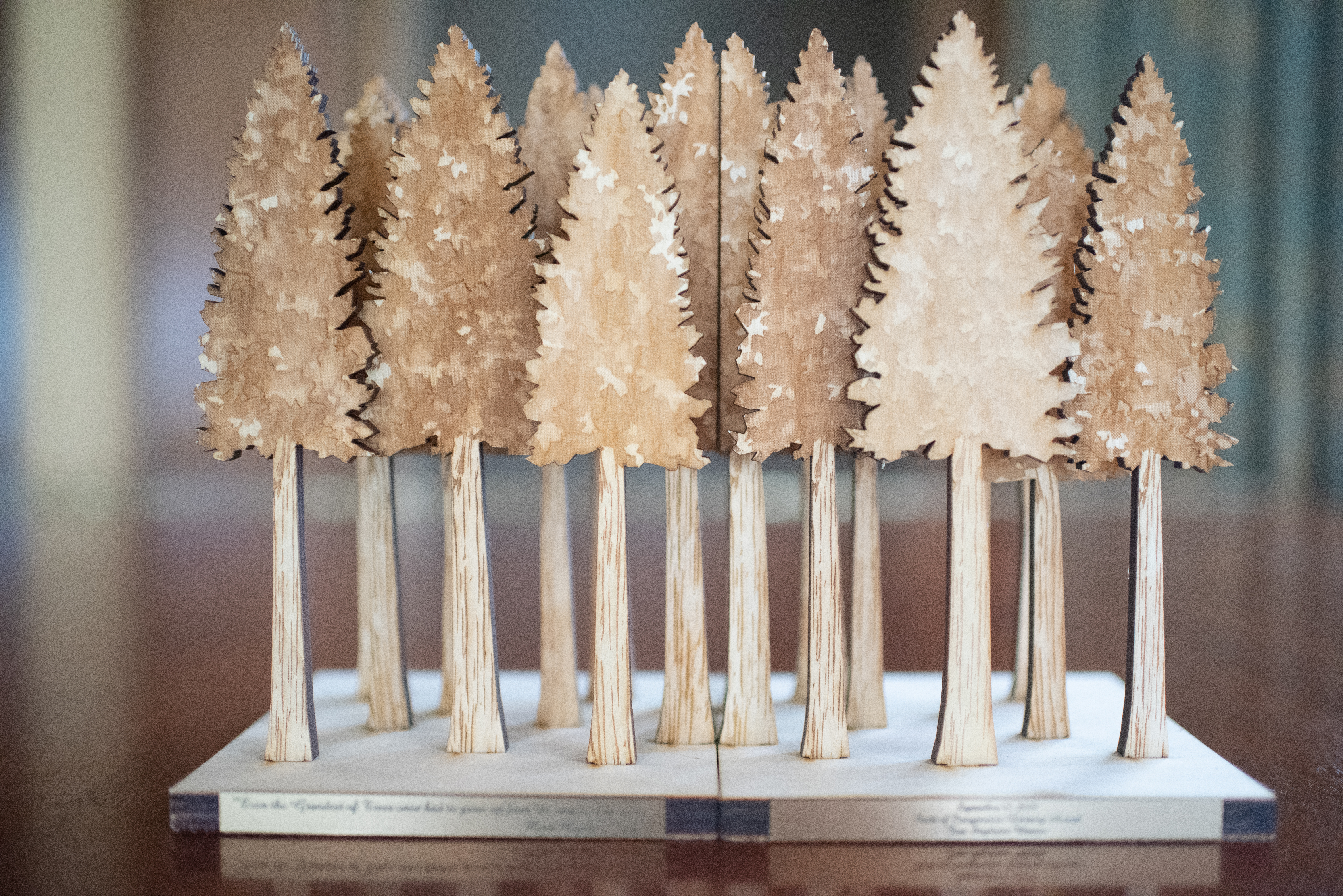 The first Seeds of Literacy award: a pair of wooden bookends comprised of composite wood trees and set with a pair of brass plaques on the front